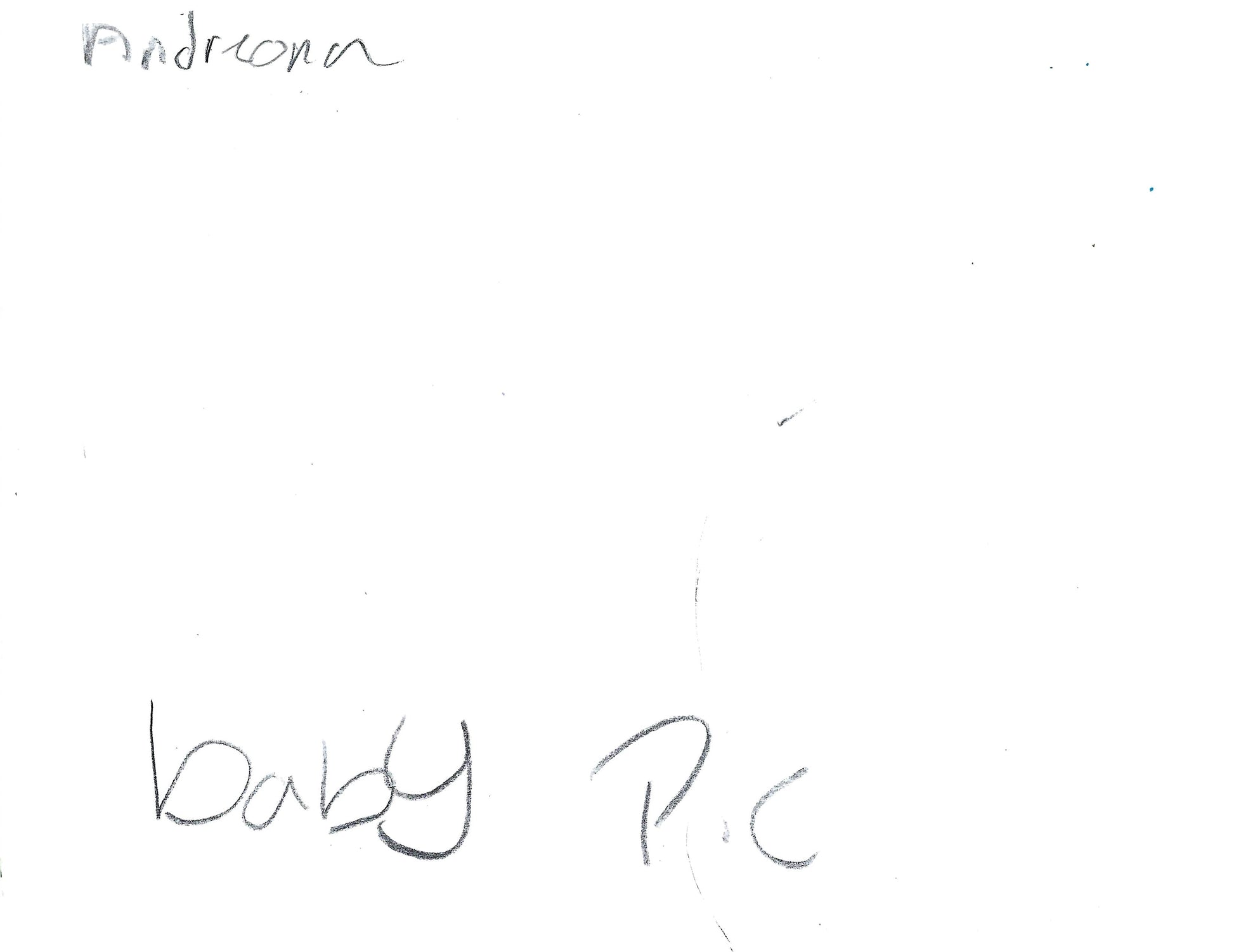 Andreona